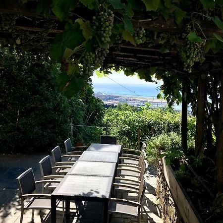 Agriturismo Fattoria Montecontessa Villa Генуа Екстериор снимка