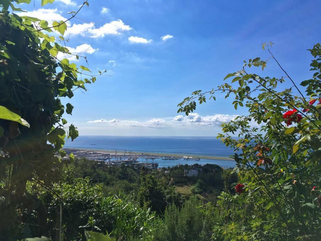 Agriturismo Fattoria Montecontessa Villa Генуа Екстериор снимка