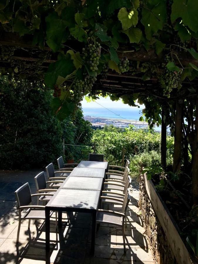 Agriturismo Fattoria Montecontessa Villa Генуа Екстериор снимка